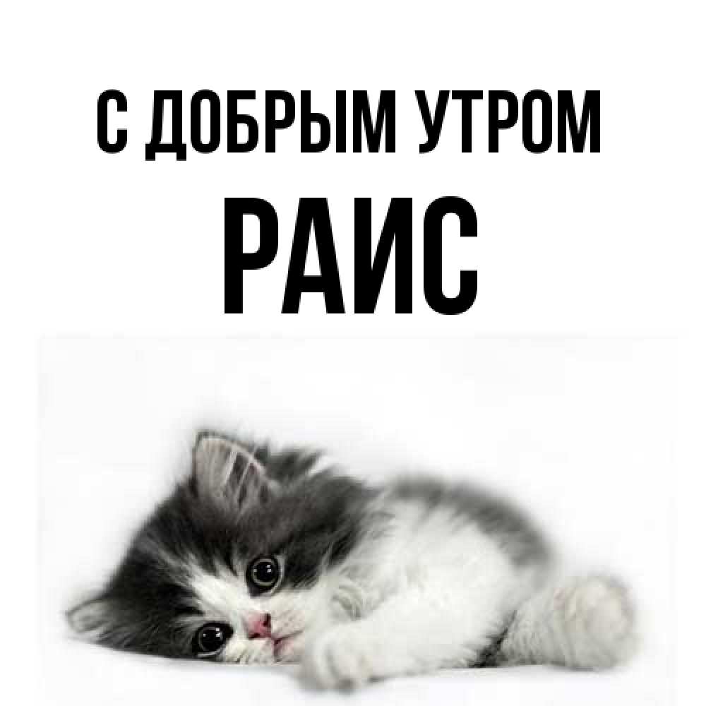 Открытка  с именем. Раис, С добрым утром  