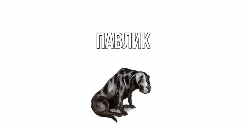 Картинка  с именем , Павлик