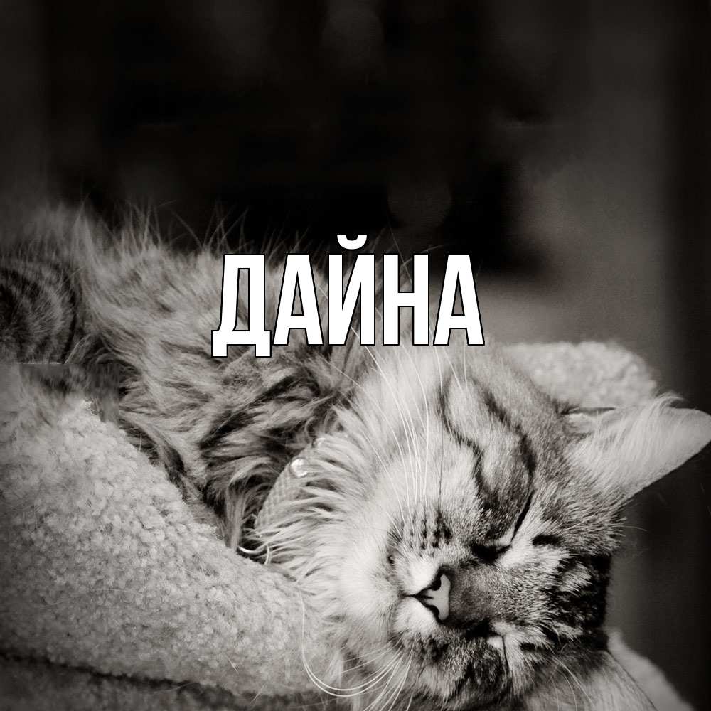 Открытка  с именем. Дайна, Главная  