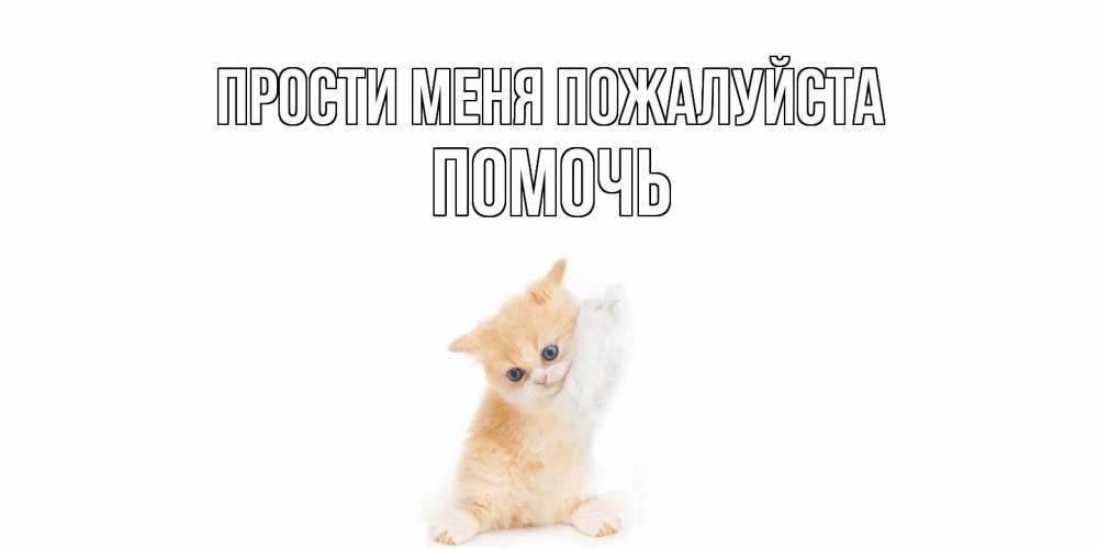 Открытка  с именем. Помочь, Прости меня пожалуйста  