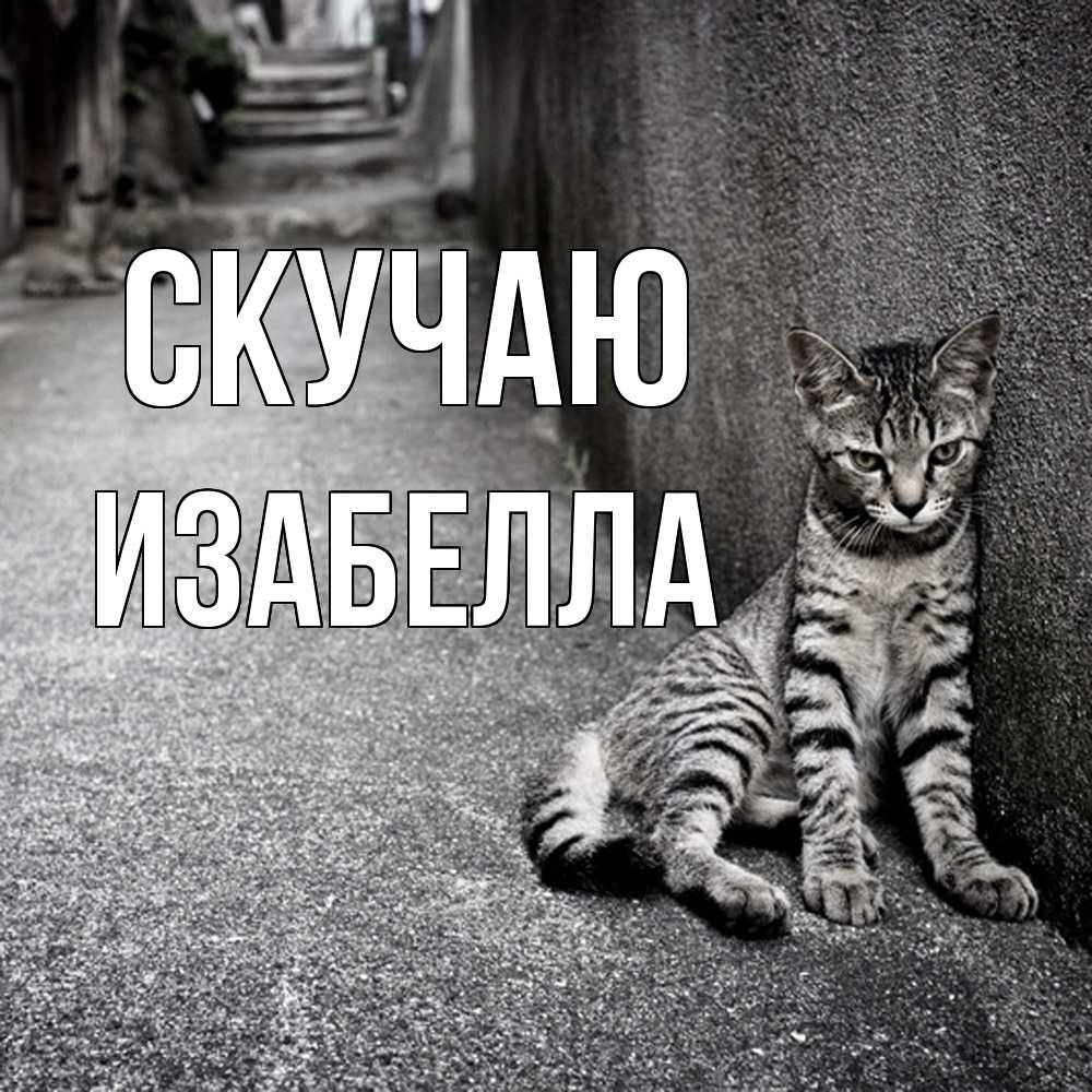 Открытка  с именем. Изабелла, Скучаю  