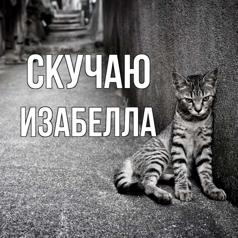 Картинка Скучаю, Изабелла