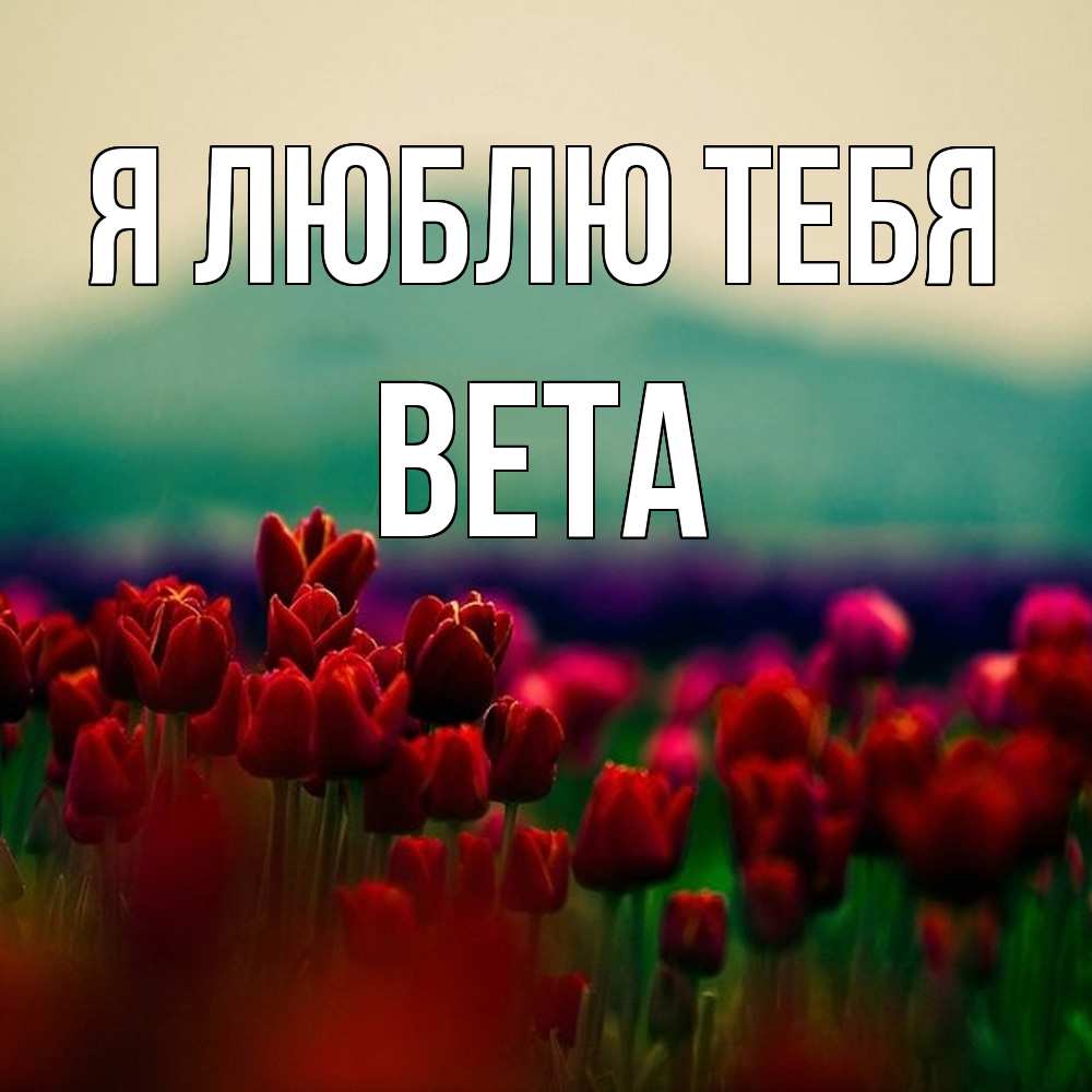 Открытка  с именем. вета, Я люблю тебя  