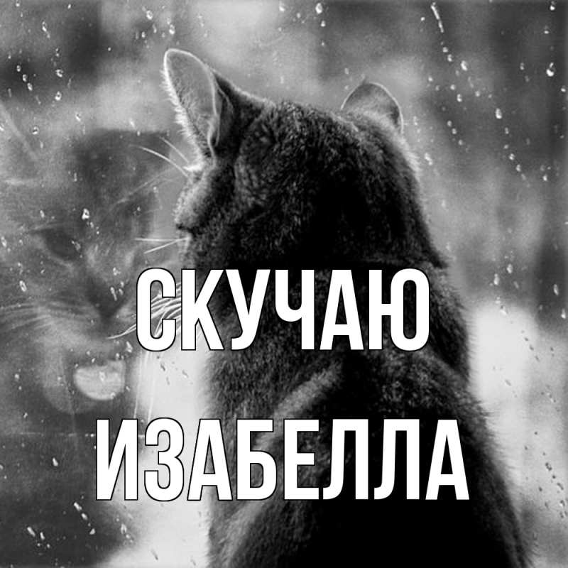 Картинка Скучаю, Изабелла
