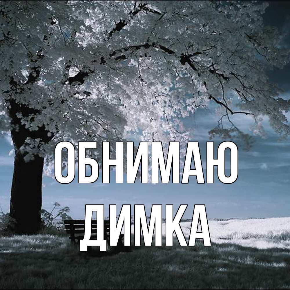 Открытка  с именем. ДИМКА, Обнимаю  