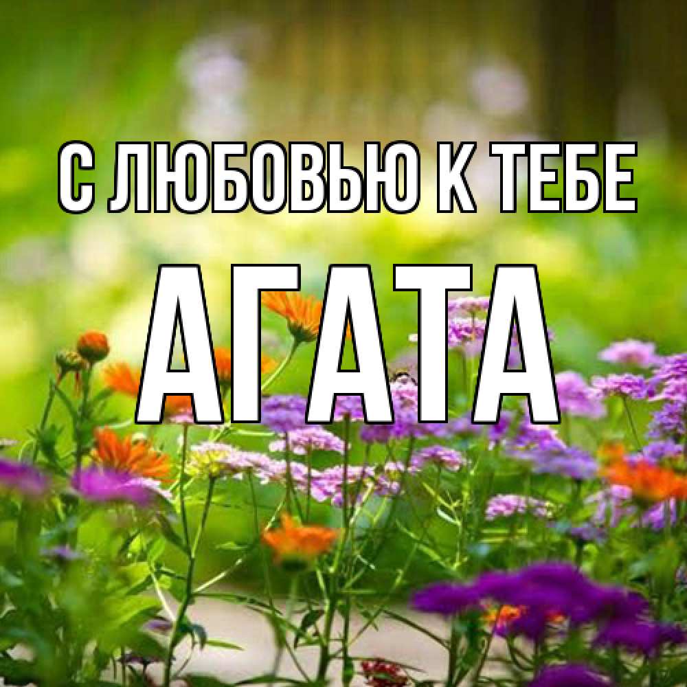 Открытка  с именем. Агата, С любовью к тебе  