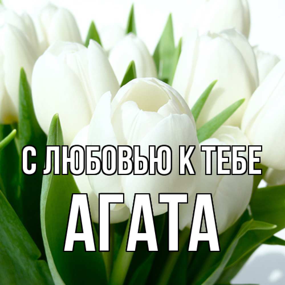 Открытка  с именем. Агата, С любовью к тебе  