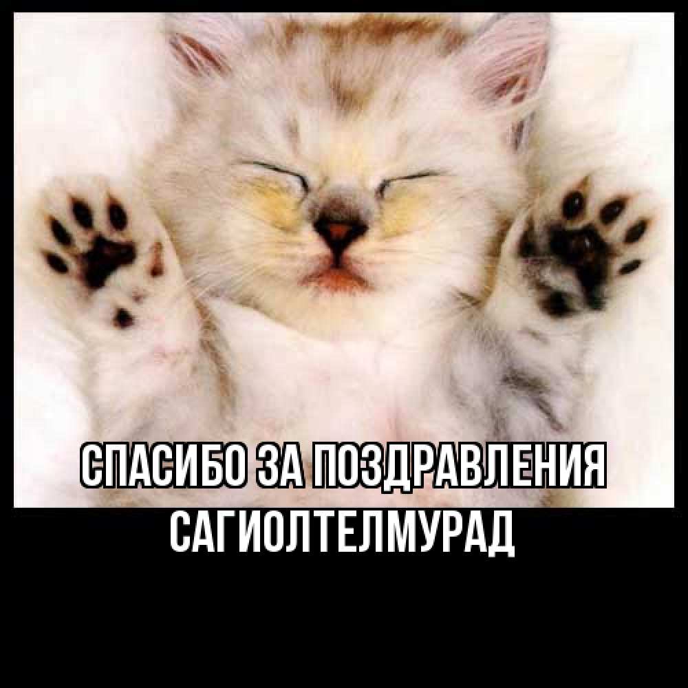 Открытка  с именем. САГИОЛТЕЛМУРАД, Спасибо за поздравления  