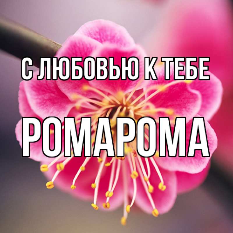 Картинка С любовью к тебе, РомаРома