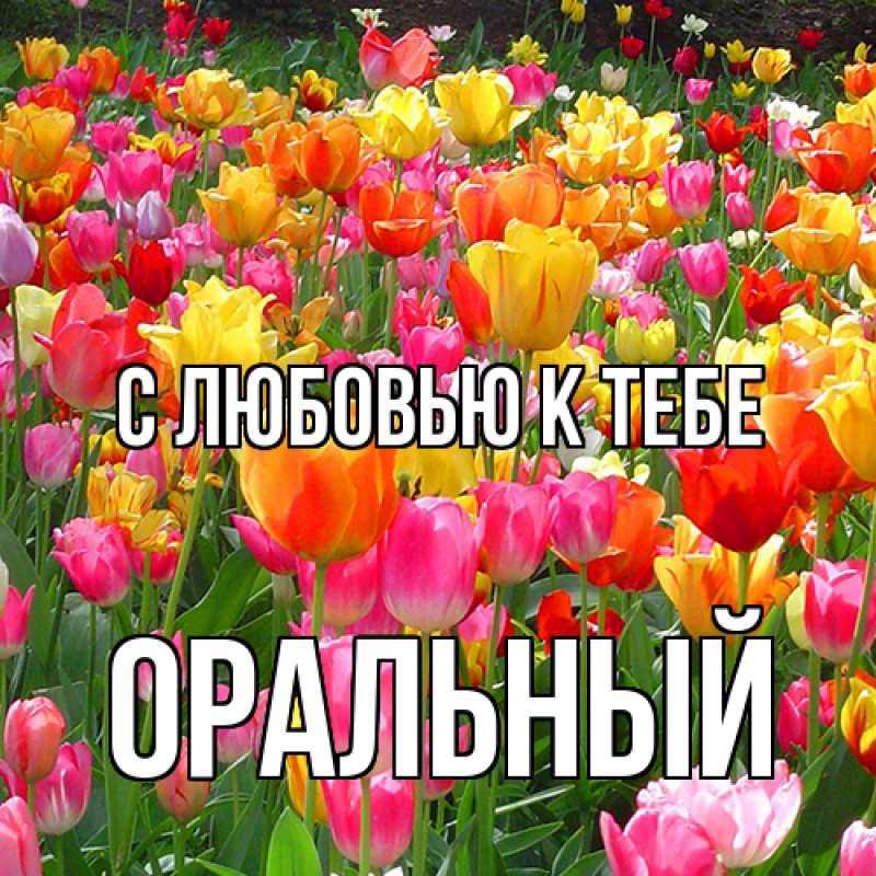 Картинка С любовью к тебе, ОРАЛЬНЫЙ