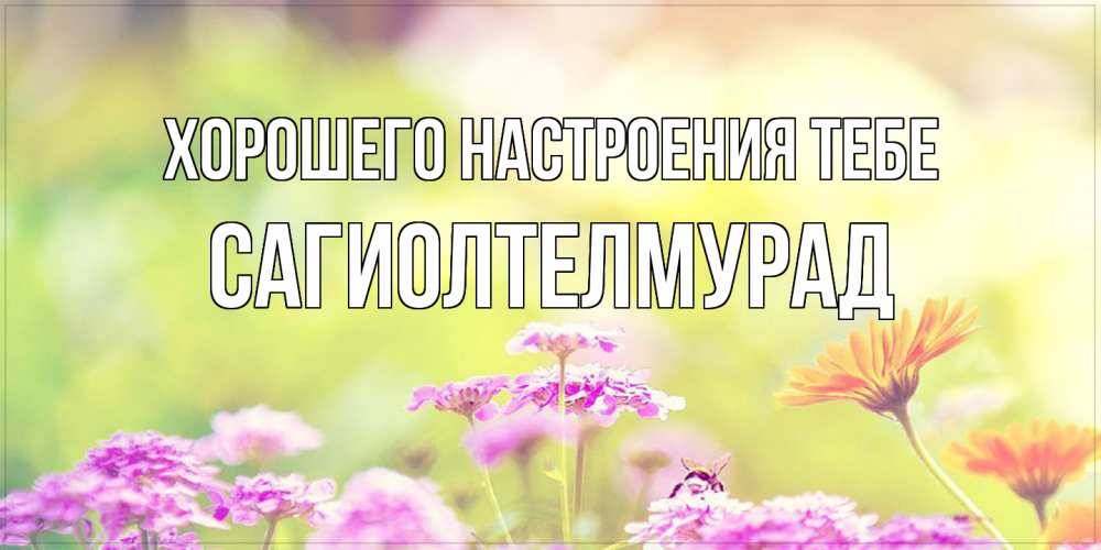 Открытка  с именем. САГИОЛТЕЛМУРАД, Хорошего настроения тебе  