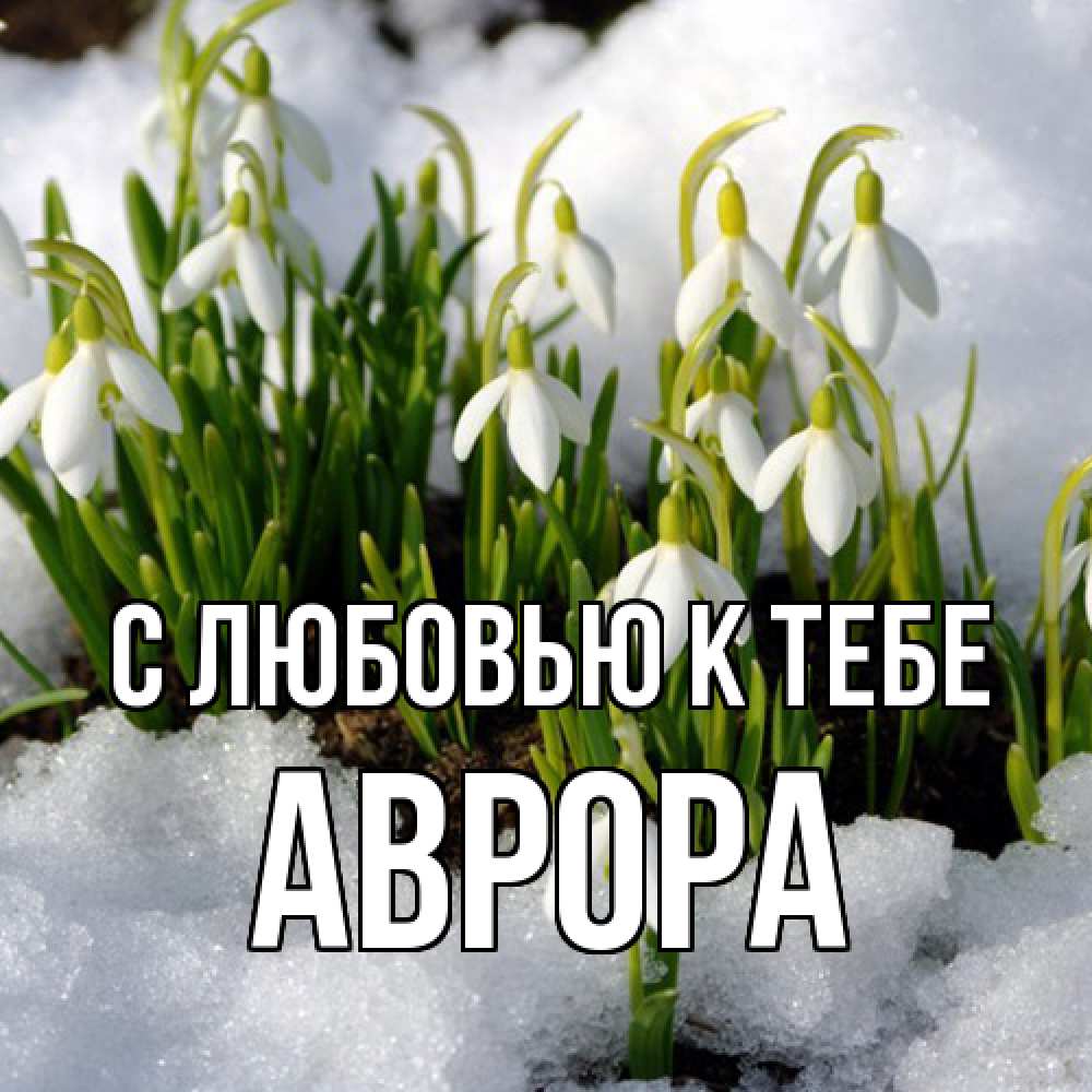 Открытка  с именем. Аврора, С любовью к тебе  