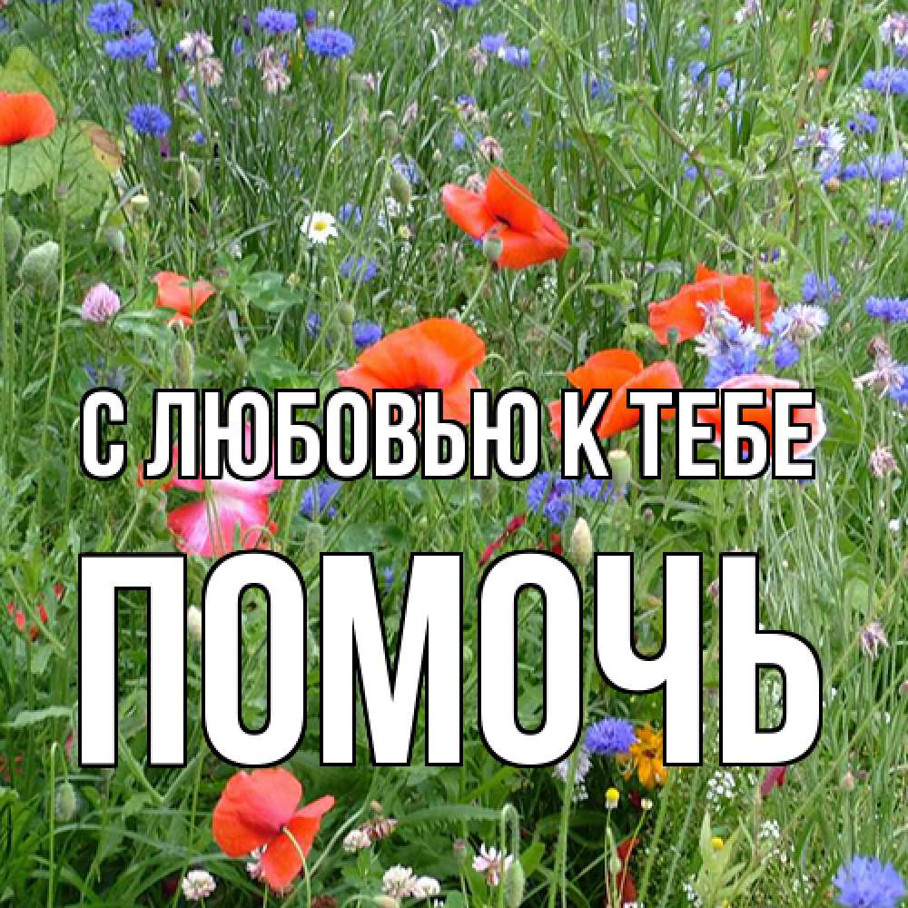 Открытка  с именем. Помочь, С любовью к тебе  