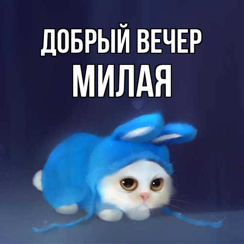 Картинка Добрый вечер, Милая