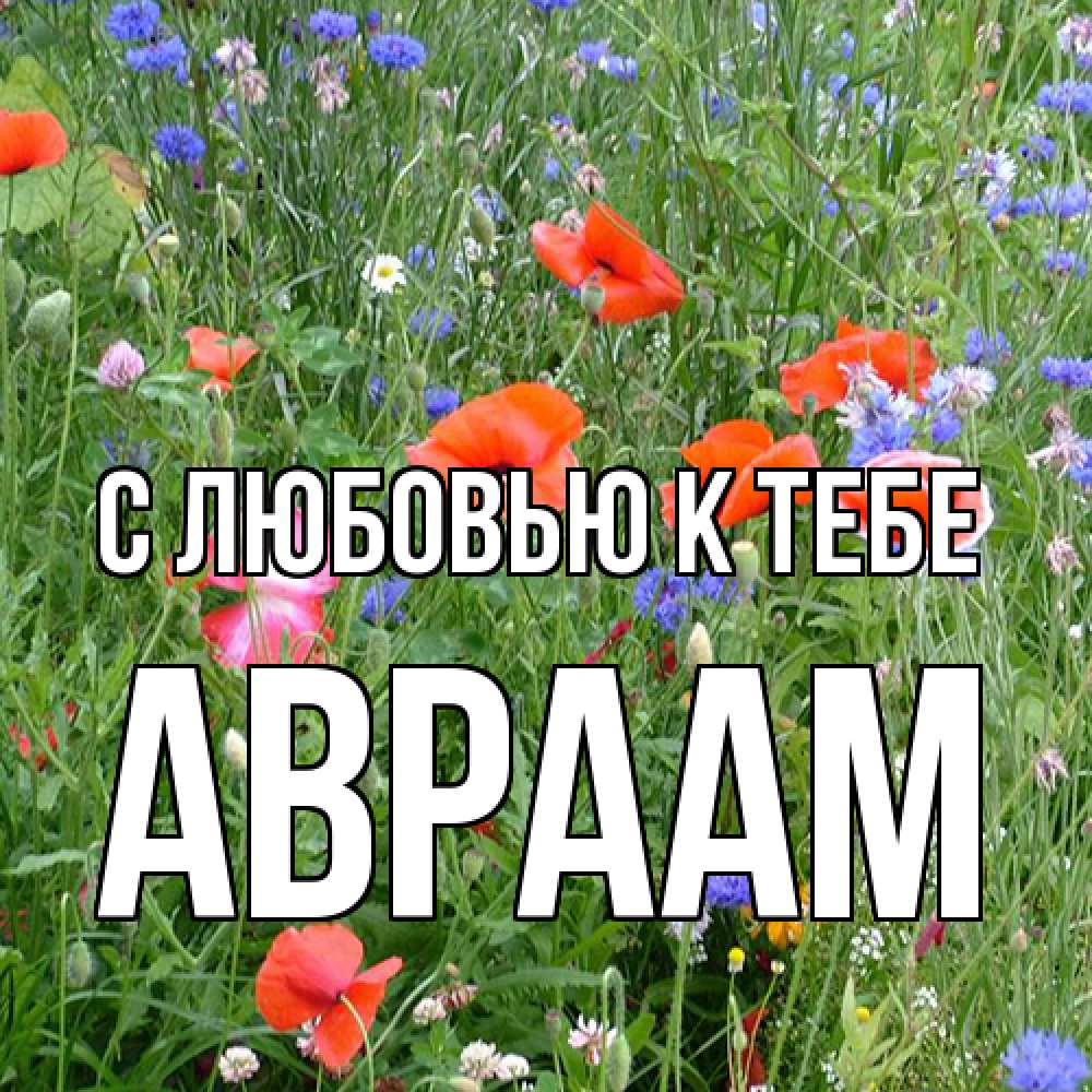 Открытка  с именем. Авраам, С любовью к тебе  