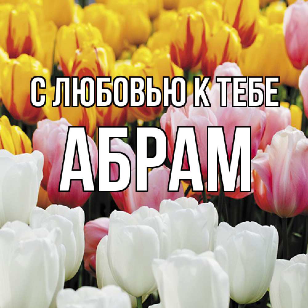 Открытка  с именем. Абрам, С любовью к тебе  