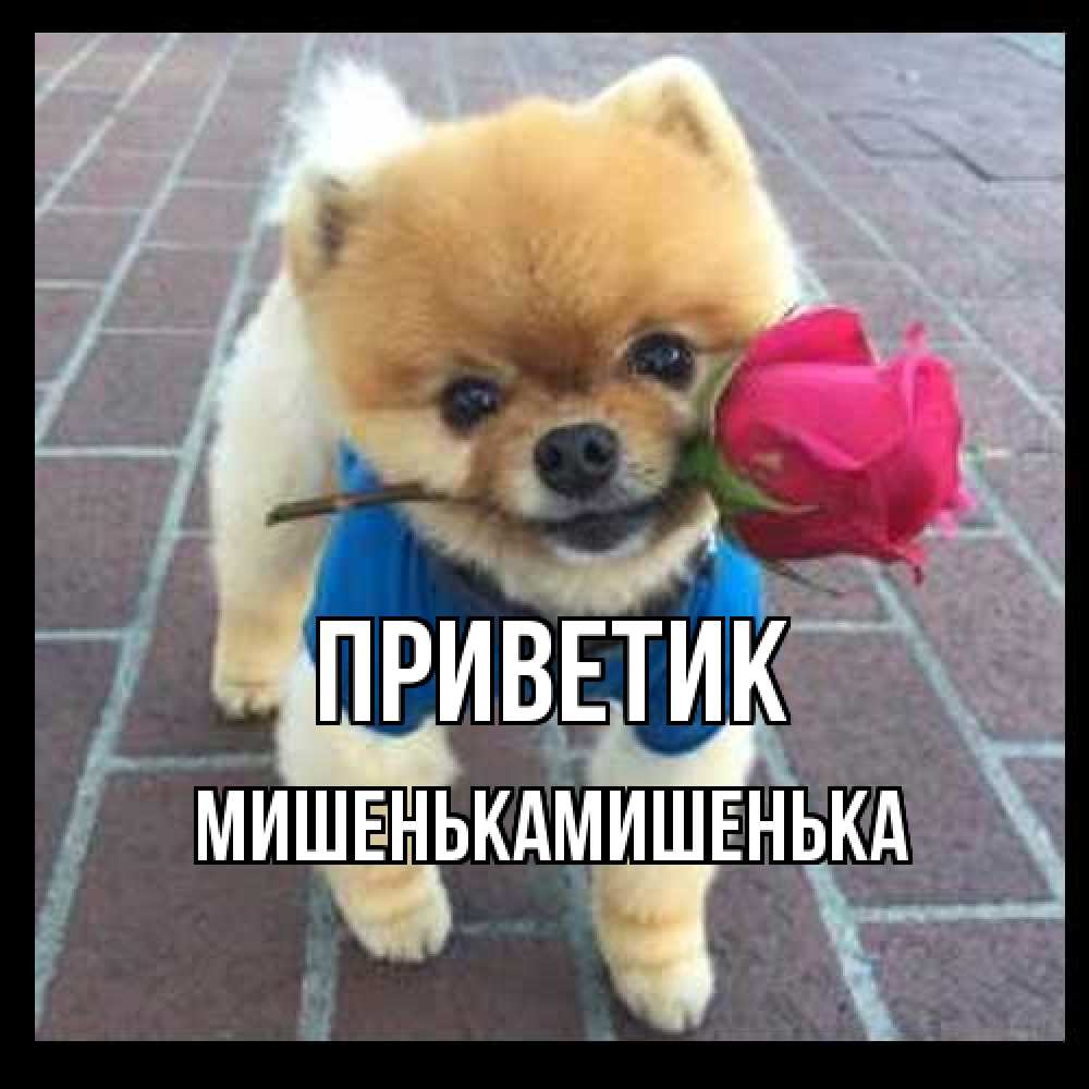 Открытка  с именем. МишенькаМишенька, приветик  