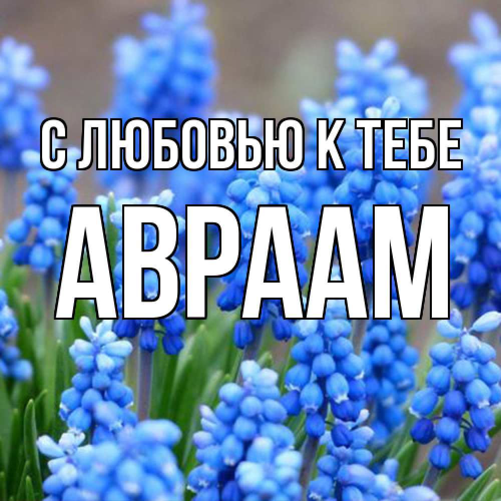 Открытка  с именем. Авраам, С любовью к тебе  