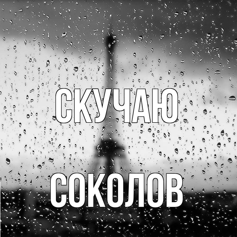 Открытка  с именем. Соколов, Скучаю  