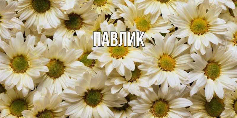 Картинка  с именем , Павлик