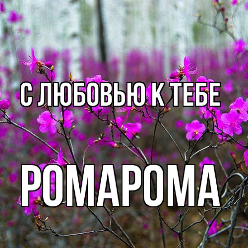 Картинка С любовью к тебе, РомаРома