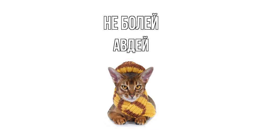 Открытка  с именем. Авдей, Не болей  