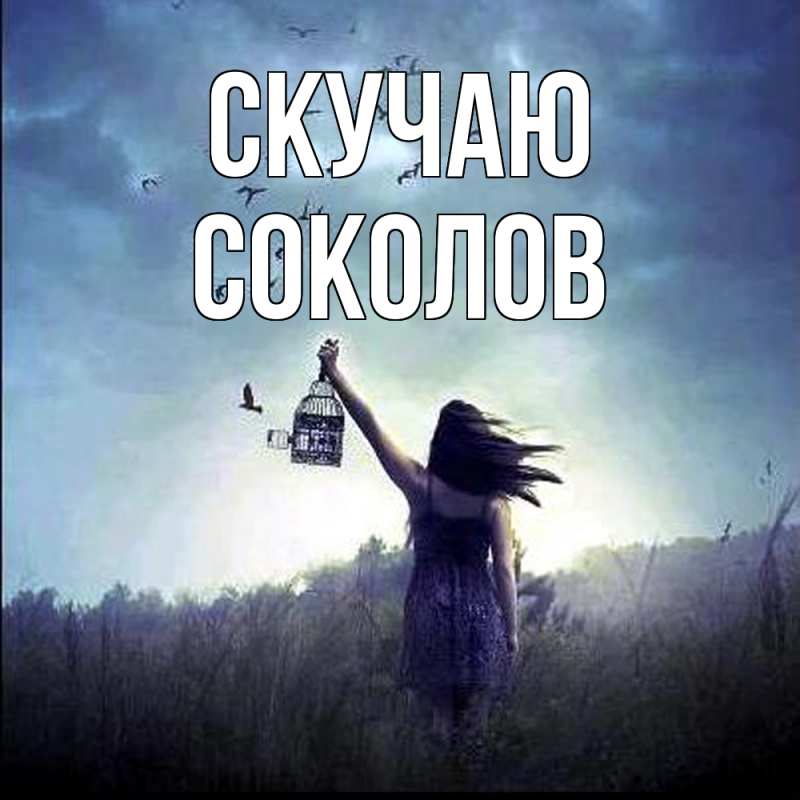 Картинка Скучаю, Соколов