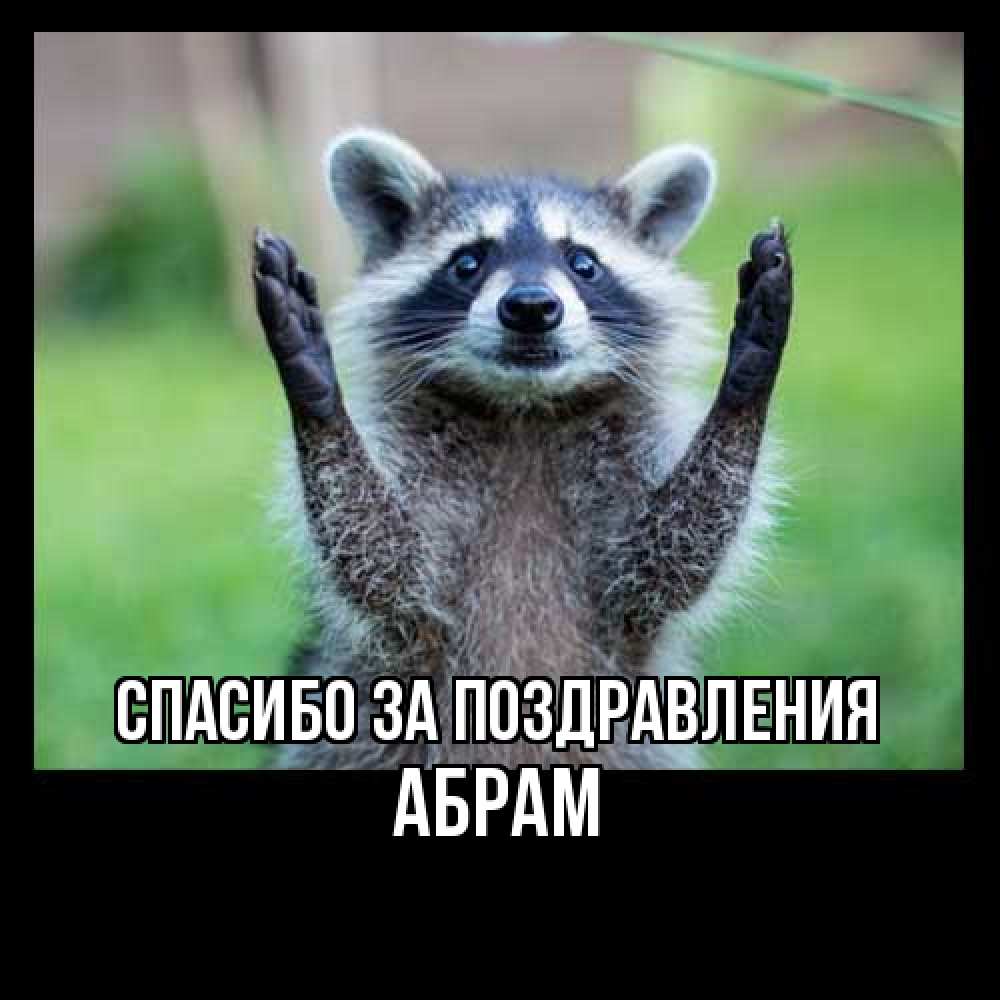 Открытка  с именем. Абрам, Спасибо за поздравления  
