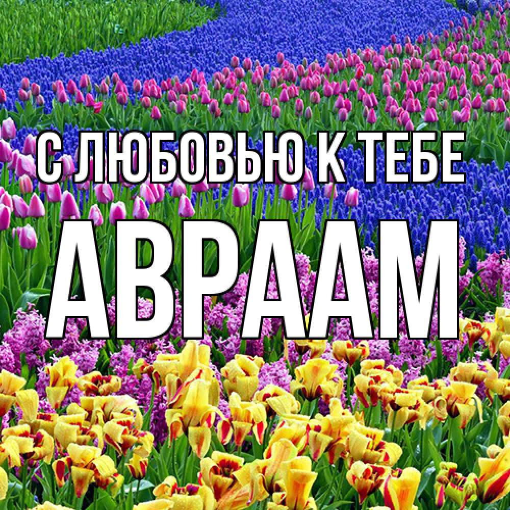 Открытка  с именем. Авраам, С любовью к тебе  