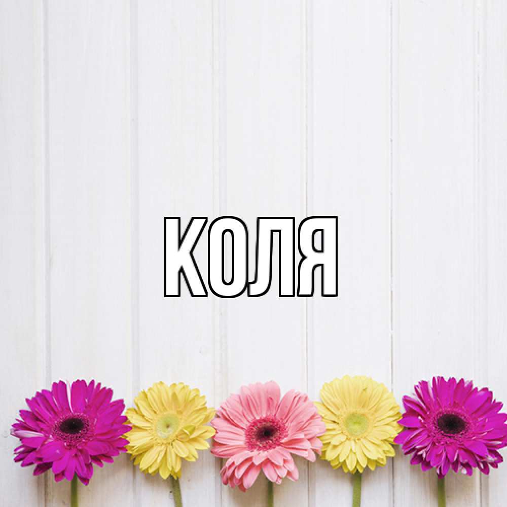 Открытка  с именем. коля, Главная  
