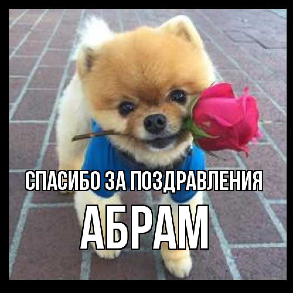 Открытка  с именем. Абрам, Спасибо за поздравления  