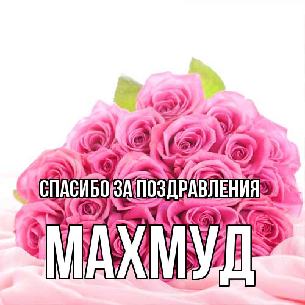 Открытка  с именем. Махмуд, Спасибо за поздравления  