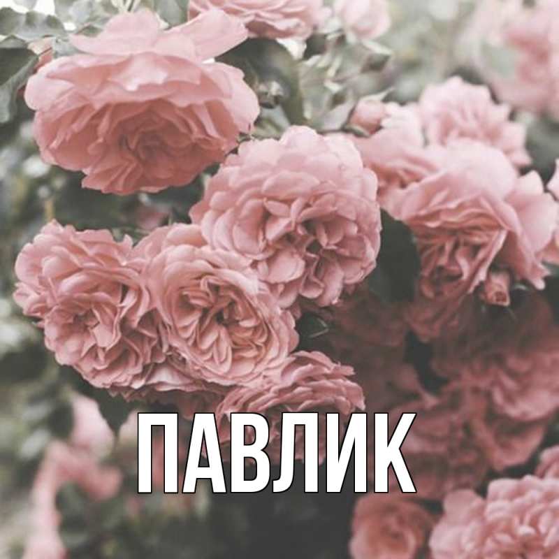 Картинка  с именем , Павлик
