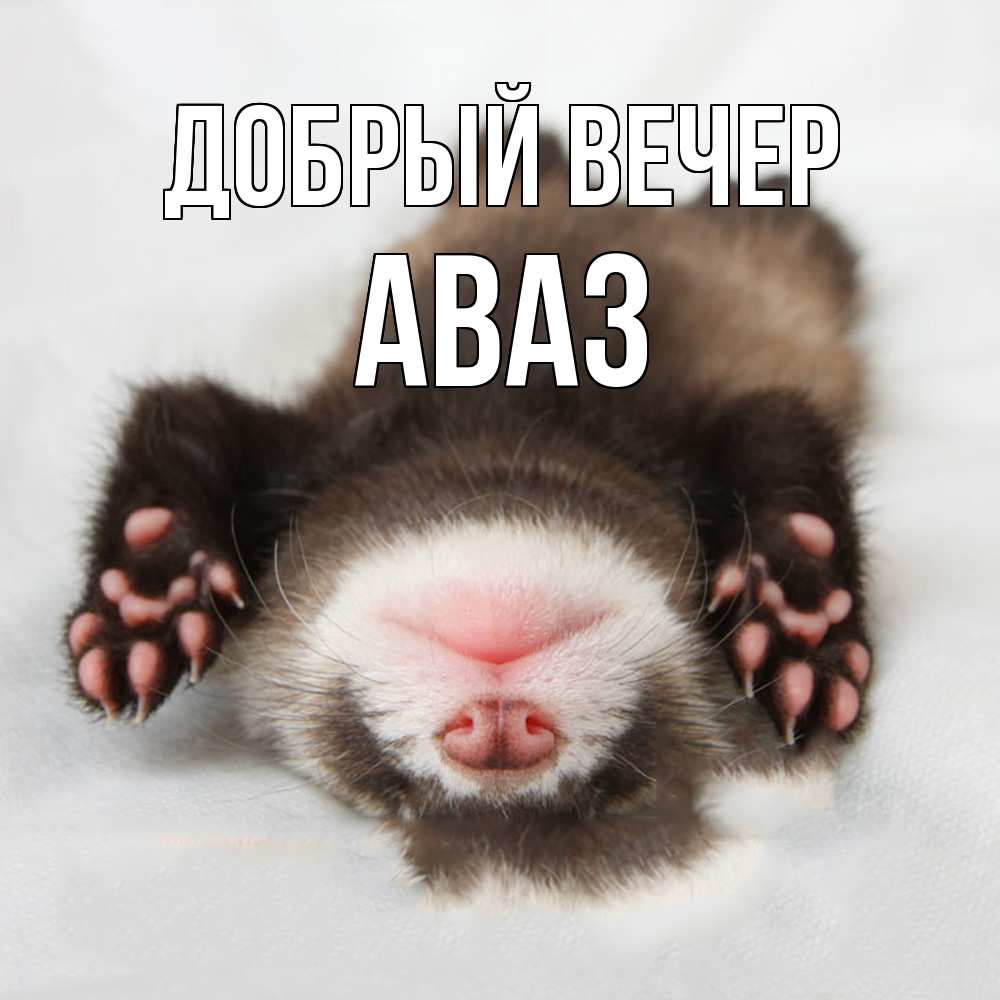 Открытка  с именем. Аваз, Добрый вечер  