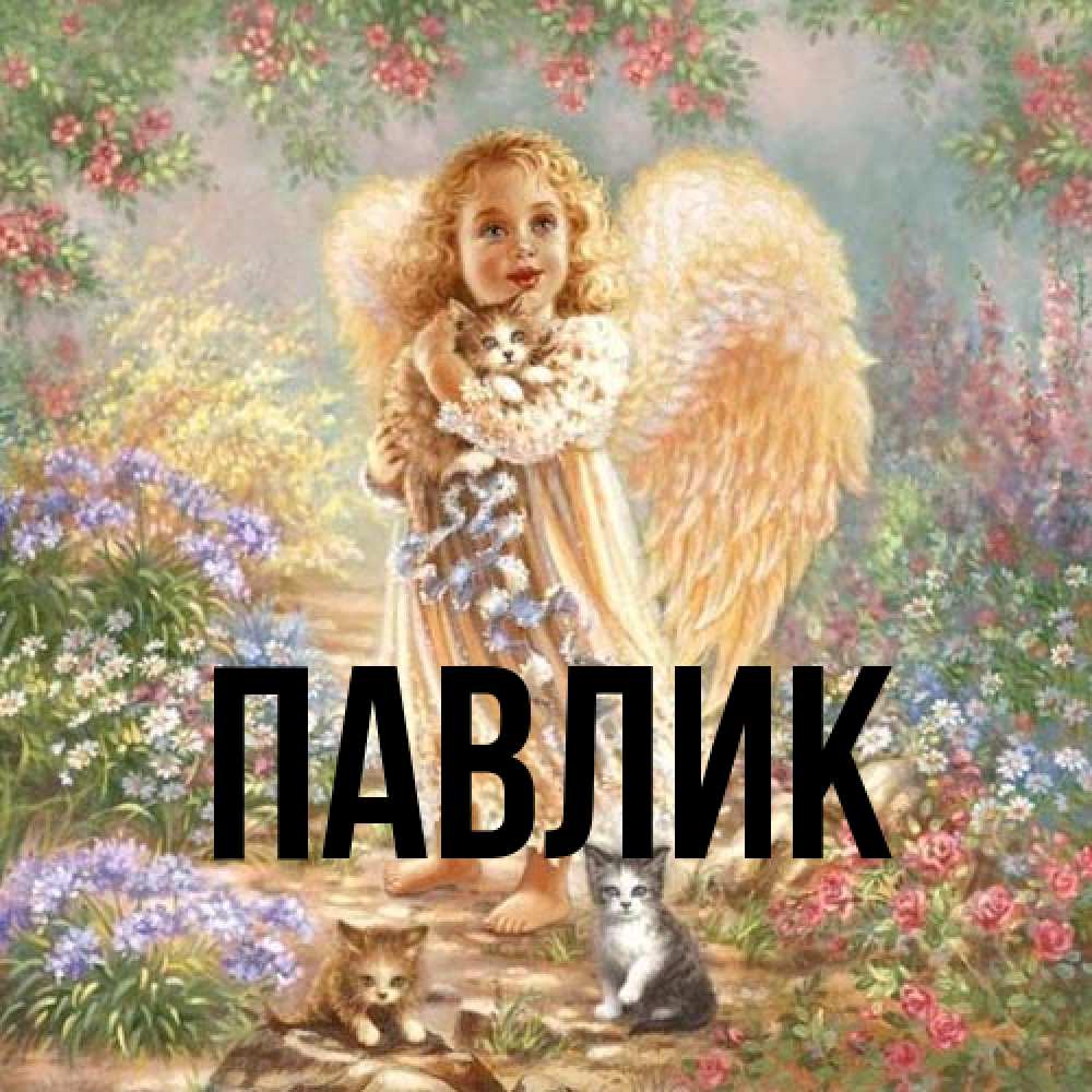 Открытка  с именем. Павлик, Главная  