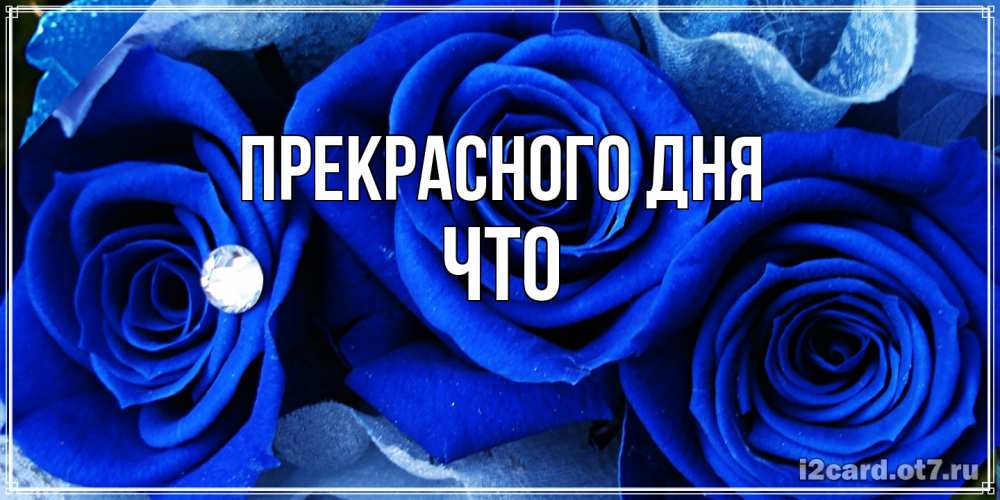 Открытка  с именем. Что, Прекрасного дня  