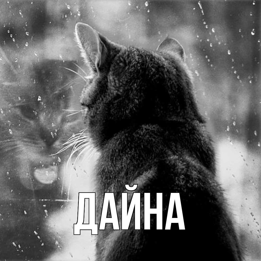 Открытка  с именем. Дайна, Главная  