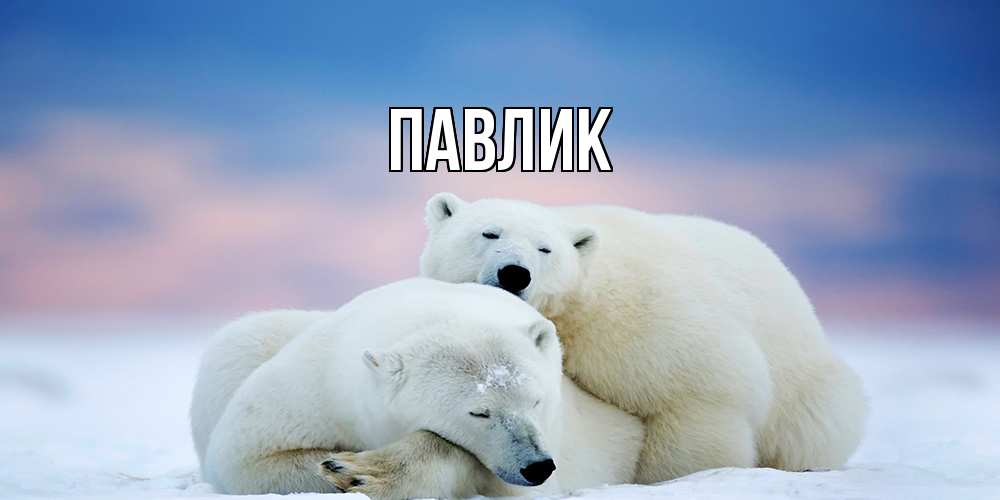 Открытка  с именем. Павлик, Главная  