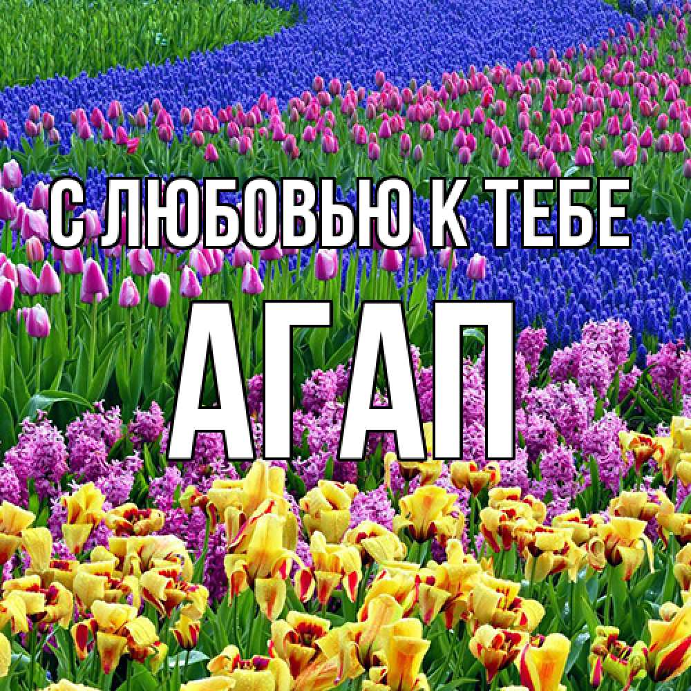 Открытка  с именем. Агап, С любовью к тебе  