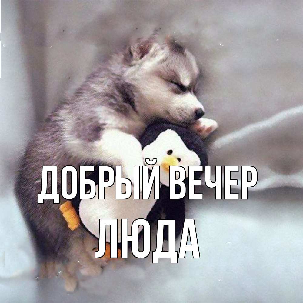 Открытка  с именем. ЛЮДА, Добрый вечер  