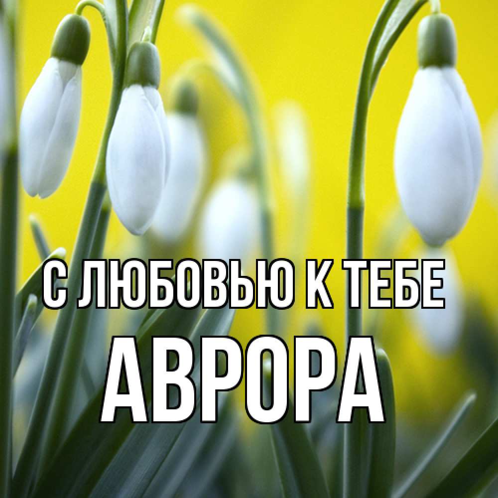 Открытка  с именем. Аврора, С любовью к тебе  