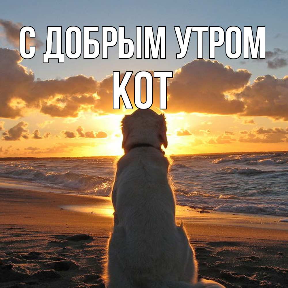 Открытка  с именем. КОТ, С добрым утром  