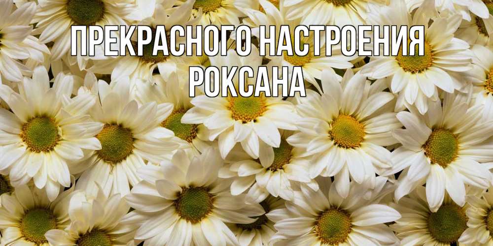 Открытка  с именем. Роксана, Прекрасного настроения  