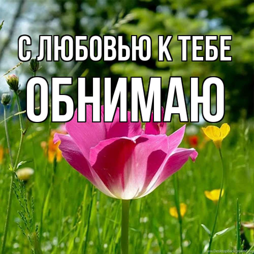 Открытка  с именем. Обнимаю, С любовью к тебе  
