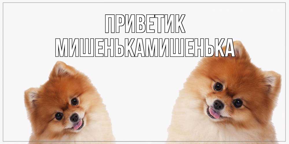 Открытка  с именем. МишенькаМишенька, приветик  