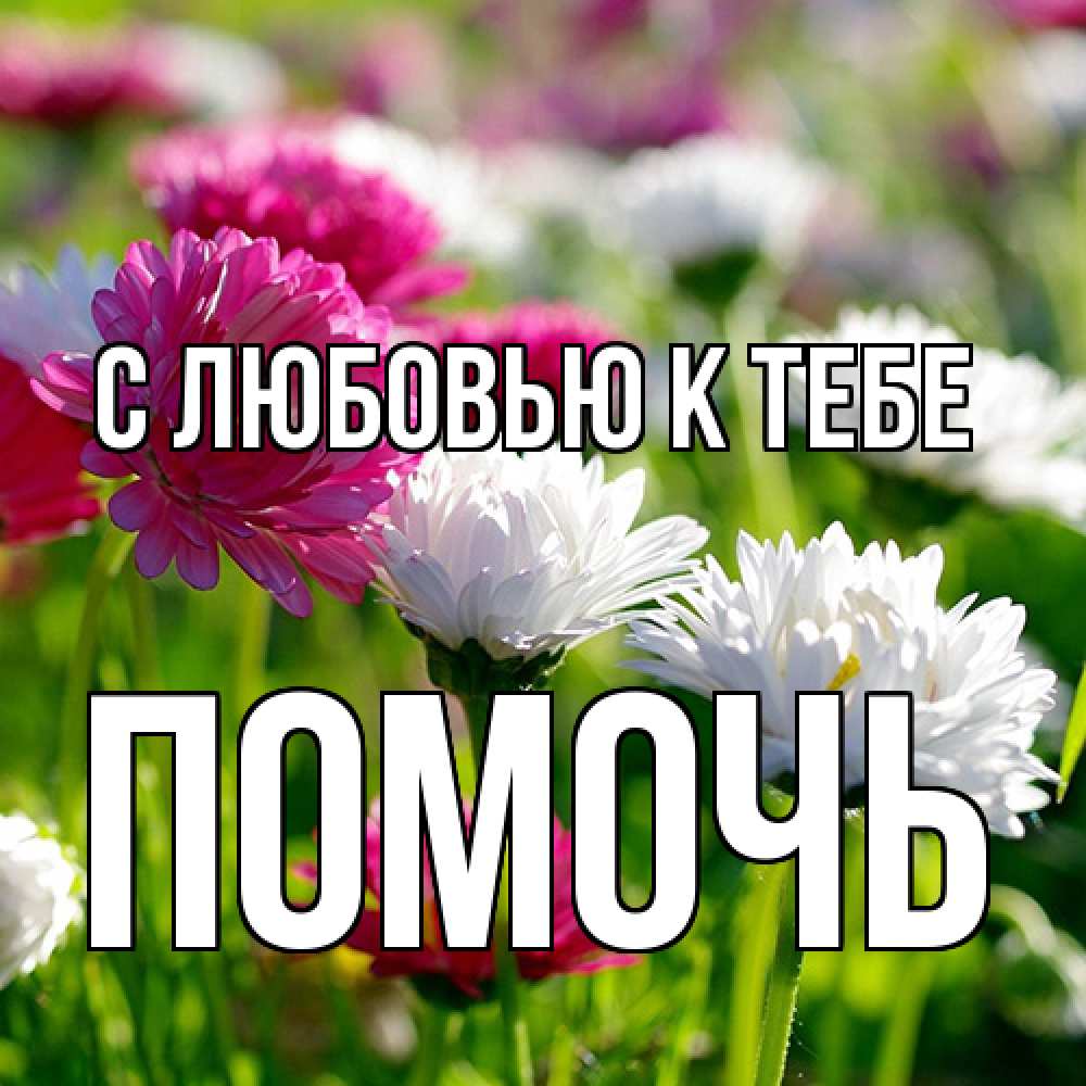 Открытка  с именем. Помочь, С любовью к тебе  