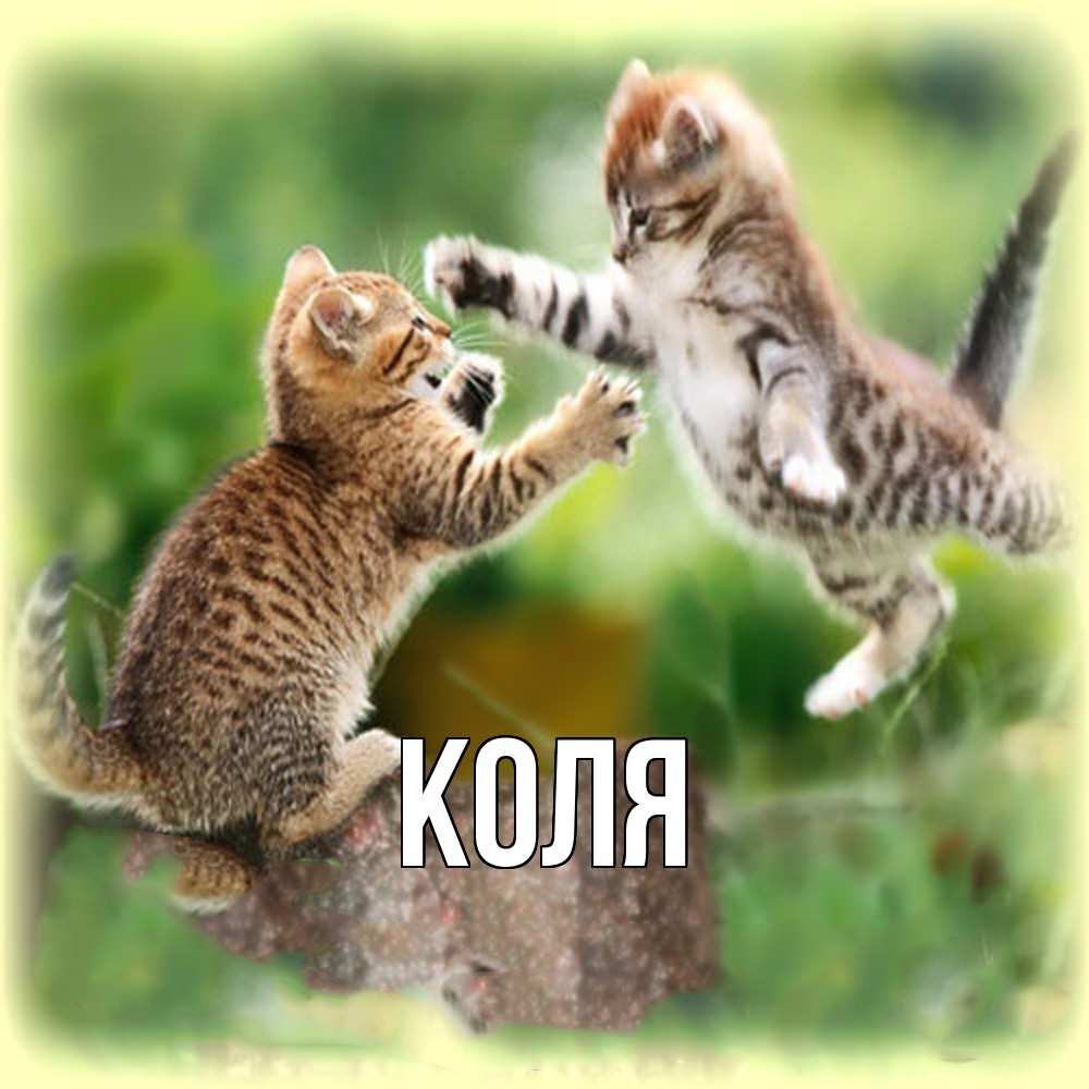 Открытка  с именем. коля, Главная  