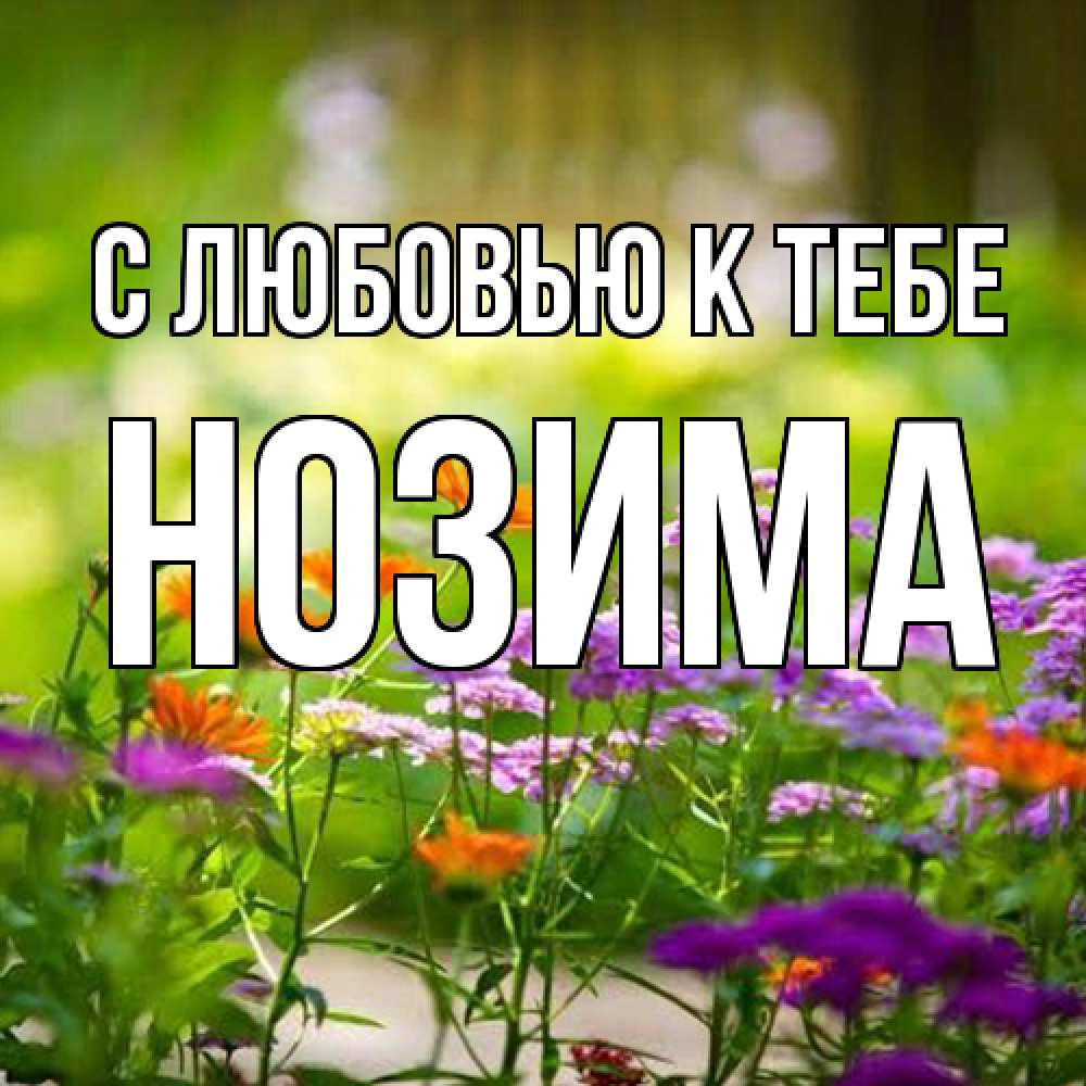 Открытка  с именем. НОЗИМА, С любовью к тебе  
