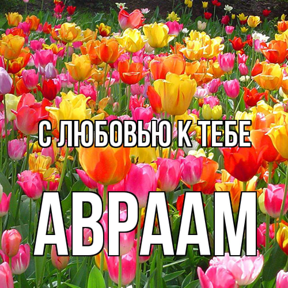 Открытка  с именем. Авраам, С любовью к тебе  
