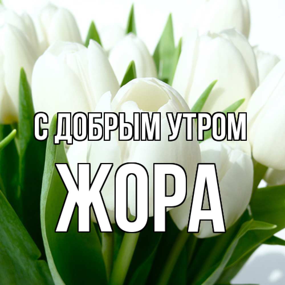 Открытка  с именем. Жора, С добрым утром  